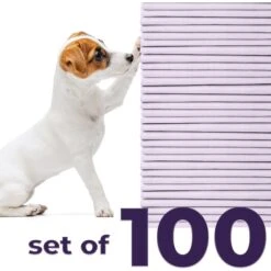Green Lifestyle Disposable Lavender Scented Dog & Cat Pee Pads, 100 Count 9 Green Lifestyle Disposable Lavender Scented Dog & Cat Pee Pads, 100 Count -Pup Haven Sales Store 1023422 PT2. AC SS1800 V1700886269
