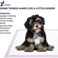 Green Lifestyle Disposable Lavender Scented Dog & Cat Pee Pads, 100 Count 10 Green Lifestyle Disposable Lavender Scented Dog & Cat Pee Pads, 100 Count -Pup Haven Sales Store 1023422 PT3. AC SS1800 V1700886271