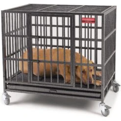 ProSelect Empire Single Door Steel Dog Crate -Pup Haven Sales Store 108600 PT3. AC SS1800 V1480609321