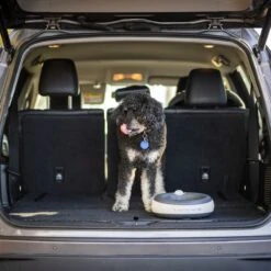 Torus Pet Filtered Dog & Cat Water Bowl 16 Torus Pet Filtered Dog & Cat Water Bowl -Pup Haven Sales Store 108653 PT7. AC SS1800 V1676903617