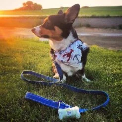 Pogi's Pet Supplies Poop Bag Dispenser + 15 Scented Waste Bags -Pup Haven Sales Store 109981 PT7. AC SS1800 V1618000010