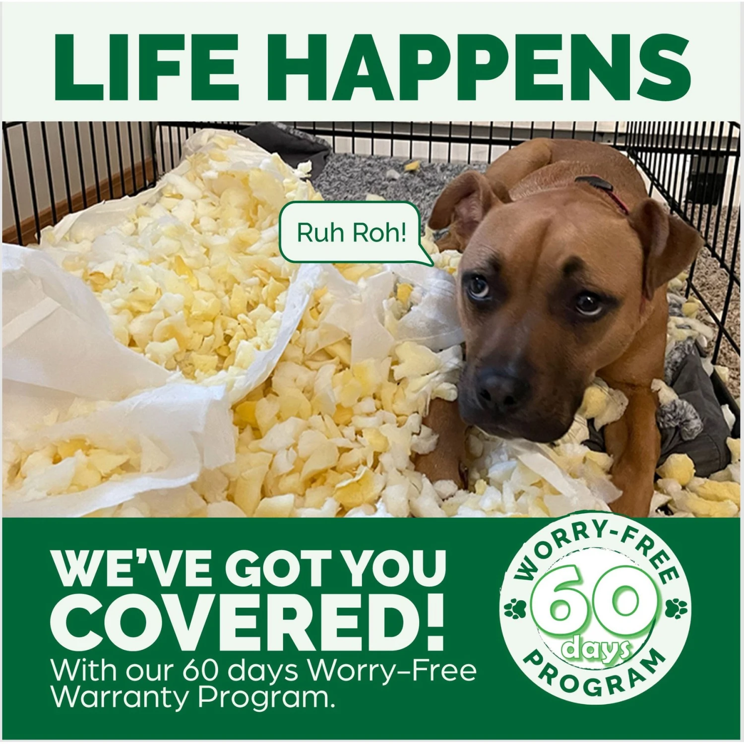 FurHaven NAP Ultra Plush Orthopedic Deluxe Cat & Dog Bed With Removable Cover 9 FurHaven NAP Ultra Plush Orthopedic Deluxe Cat & Dog Bed With Removable Cover - Image 9