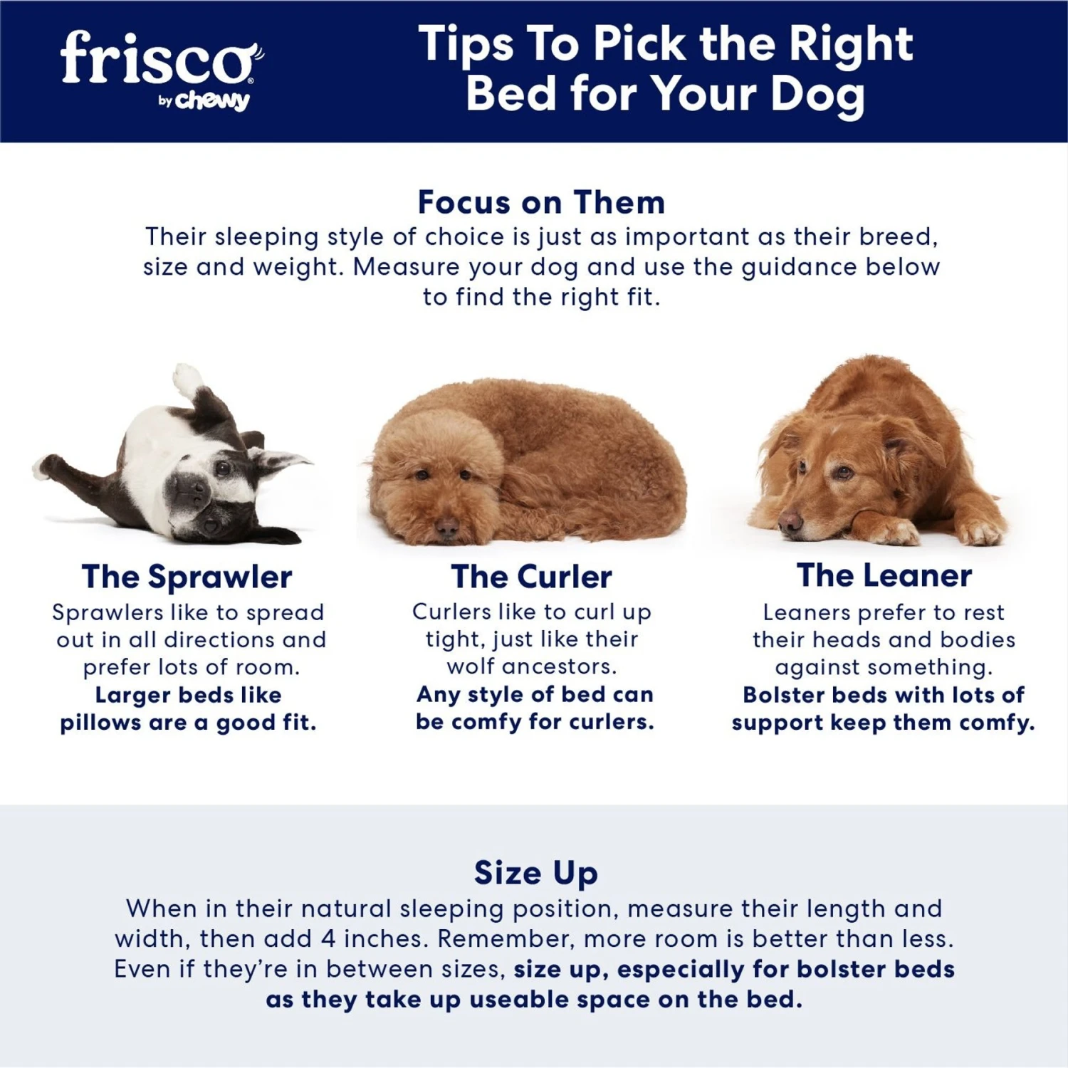 Frisco Steel-Framed Elevated Dog Bed 4 Frisco Steel-Framed Elevated Dog Bed - Image 4