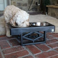 Pet Zone Designer Diner Adjustable Elevated Dog & Cat Bowls, 7-cup 11 Pet Zone Designer Diner Adjustable Elevated Dog & Cat Bowls, 7-cup -Pup Haven Sales Store 115664 PT4. AC SS1800 V1639012092