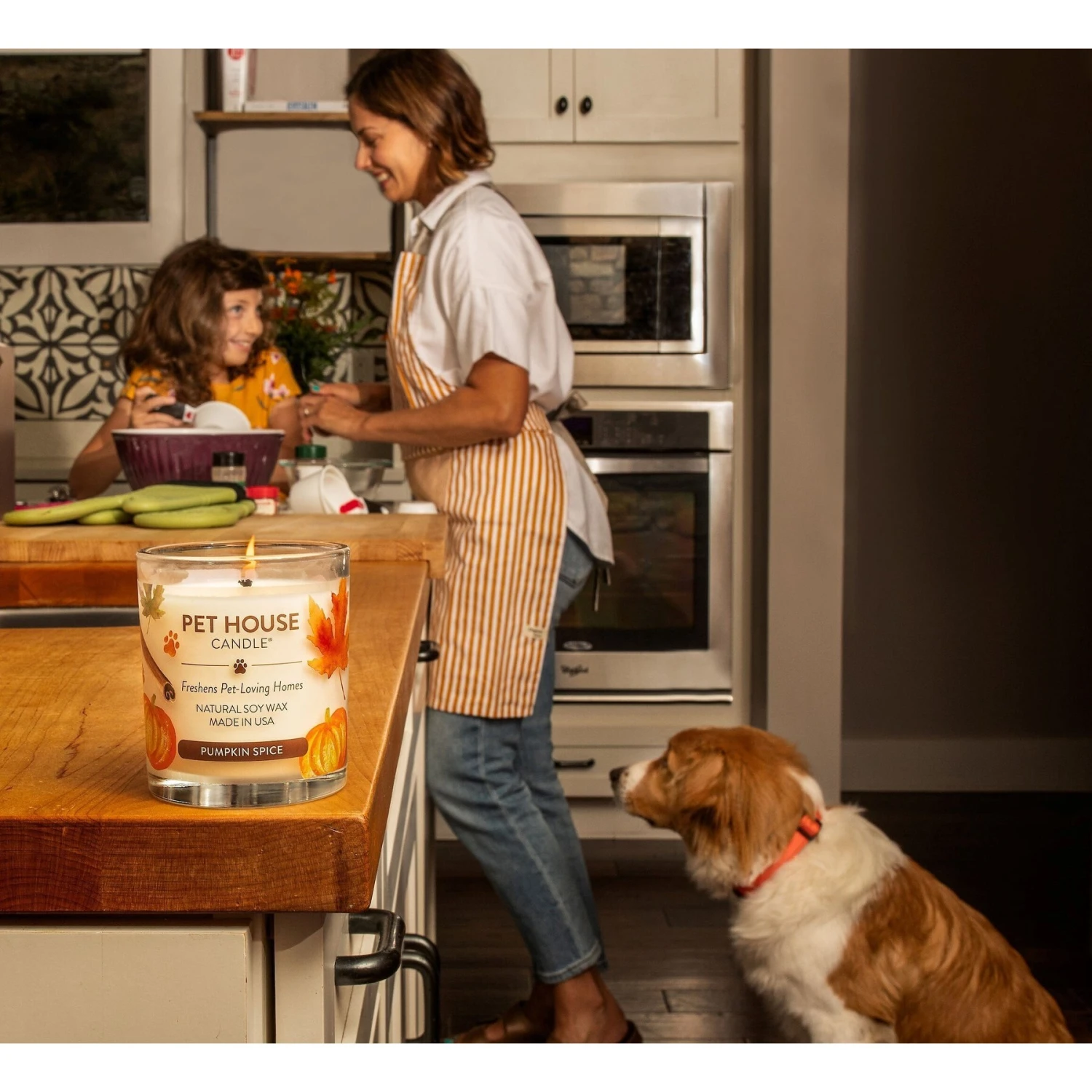 Pet House Pumpkin Spice Natural Plant-Based Wax Candle 5 Pet House Pumpkin Spice Natural Plant-Based Wax Candle - Image 5