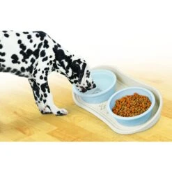Pet Parade Non-Skid Dog Bowl Tray -Pup Haven Sales Store 120358 PT3. AC SS1800 V1627618599