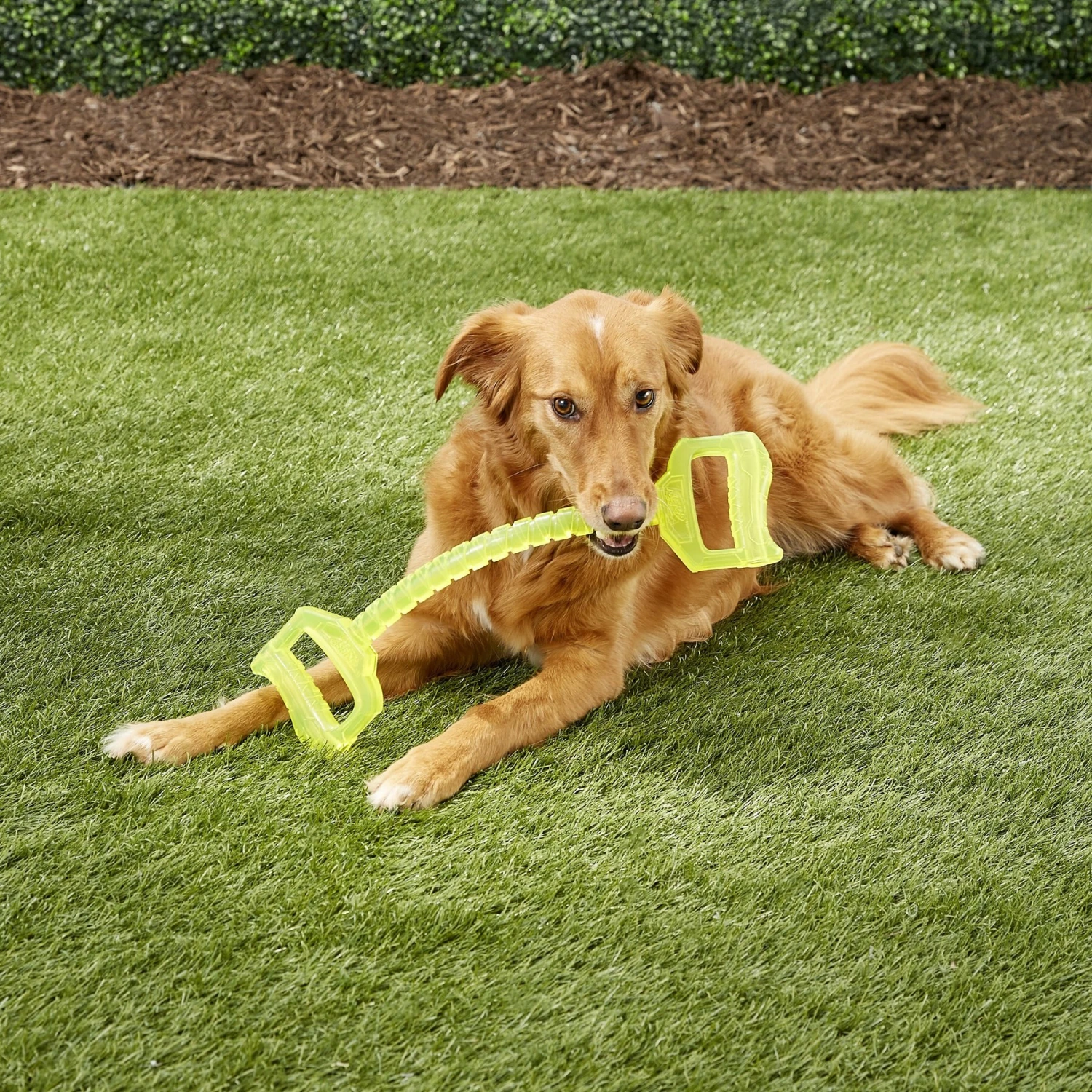 Nerf Dog Tuff Tug 2 Handle Dog Toy, Large 2 Nerf Dog Tuff Tug 2 Handle Dog Toy, Large - Image 2