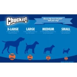 Chuckit! Fetch Ball Medley 2 Triple Pack Ball Dog Toy 11 Chuckit! Fetch Ball Medley 2 Triple Pack Ball Dog Toy -Pup Haven Sales Store 122768 PT8. AC SS1800 V1530222469