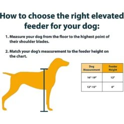 OurPets Comfort Elevated Dog & Cat Bowls -Pup Haven Sales Store 122825 PT5. AC SS1800 V1539789718