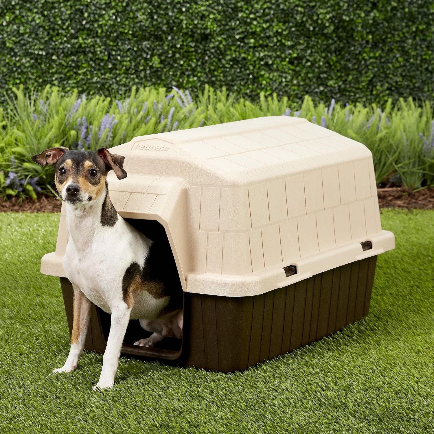 Aspen Pet Petbarn 3 Plastic Dog House 1 Aspen Pet Petbarn 3 Plastic Dog House