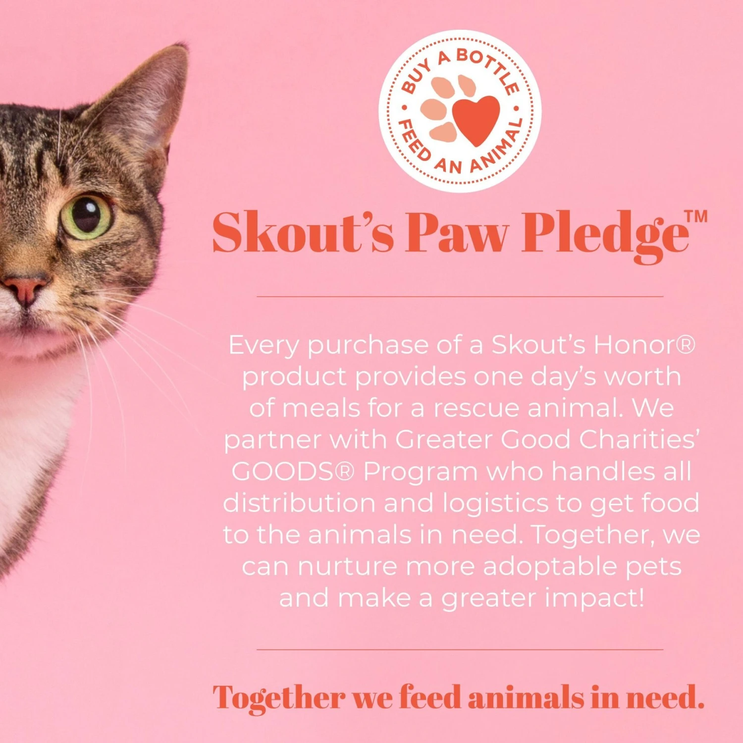 Skout's Honor Professional Strength Litter Box Deodorizer 7 Skout's Honor Professional Strength Litter Box Deodorizer - Image 7