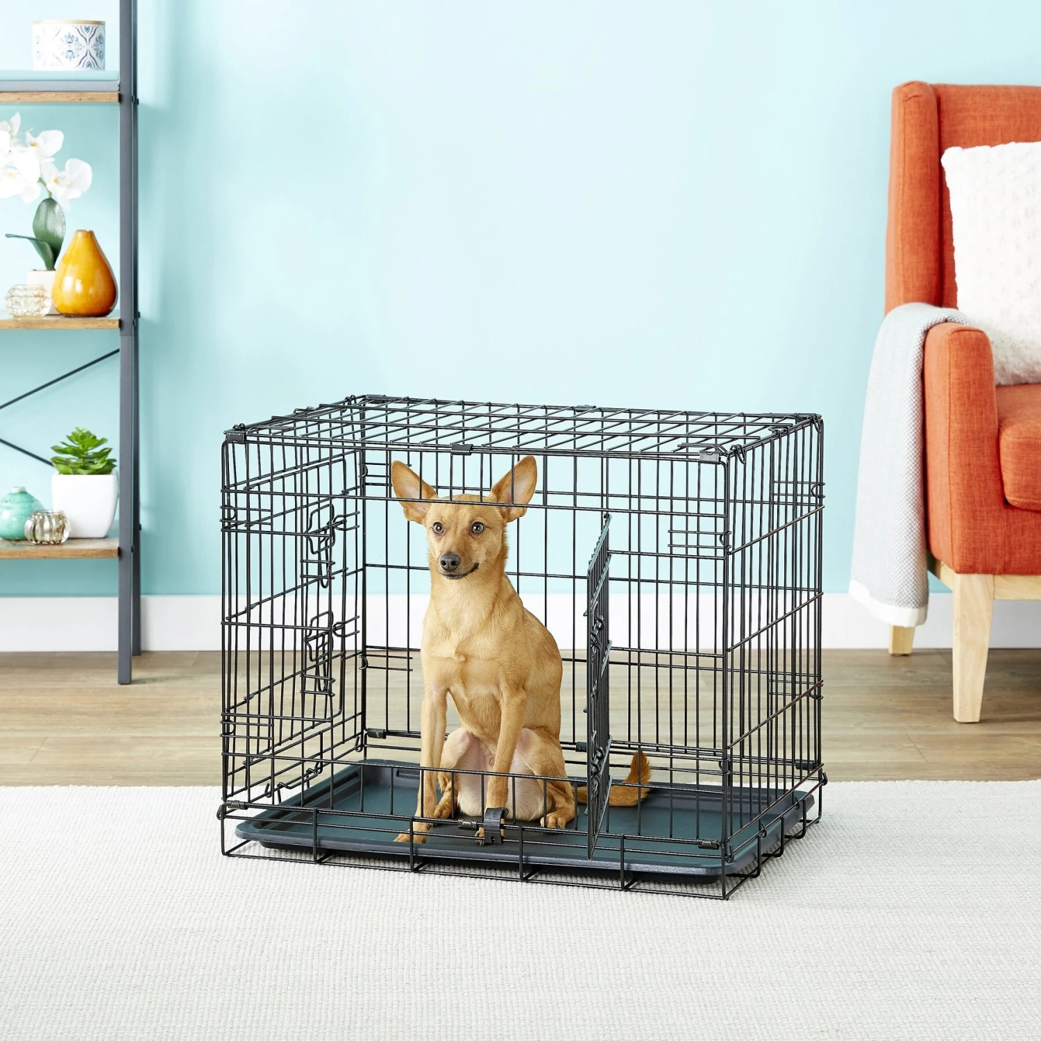 Paws & Pals Oxgord Double Door Collapsible Wire Dog Crate 5 Paws & Pals Oxgord Double Door Collapsible Wire Dog Crate - Image 5