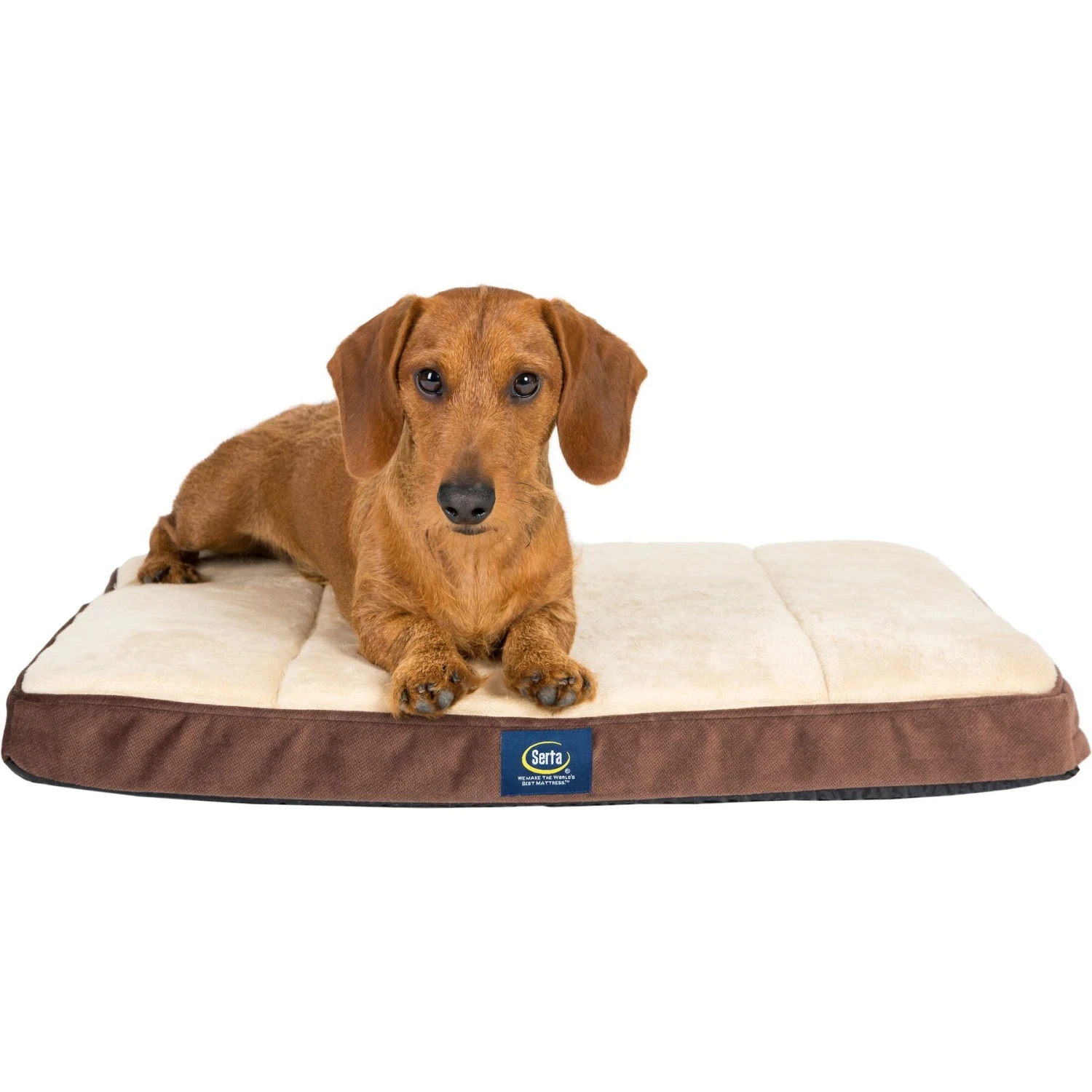 Serta Orthopedic Memory Foam Dog & Cat Crate Mat, Mocha 2 Serta Orthopedic Memory Foam Dog & Cat Crate Mat, Mocha - Image 2