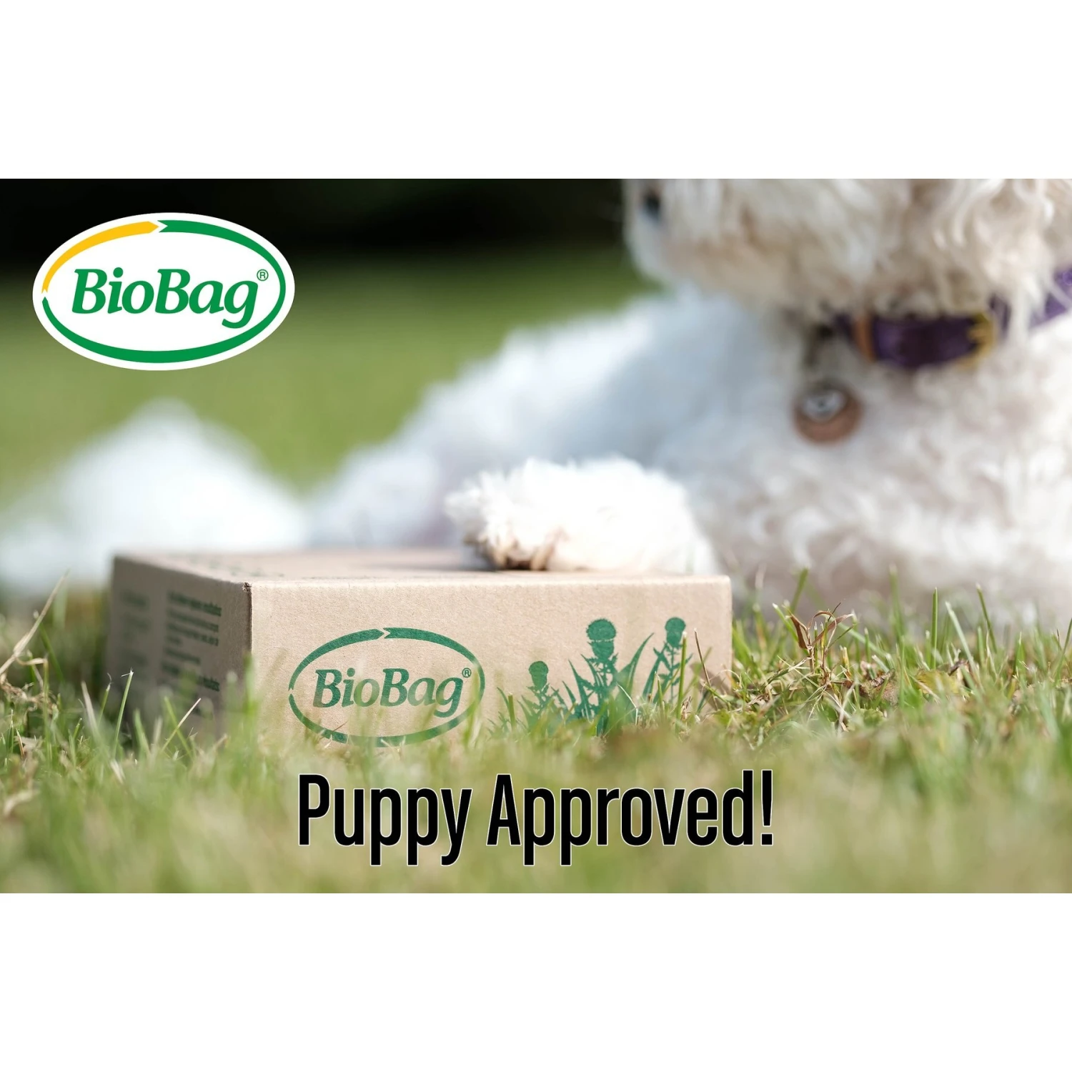 BioBag Standard Pet Waste Bags, 200 Count 4 BioBag Standard Pet Waste Bags, 200 Count - Image 4