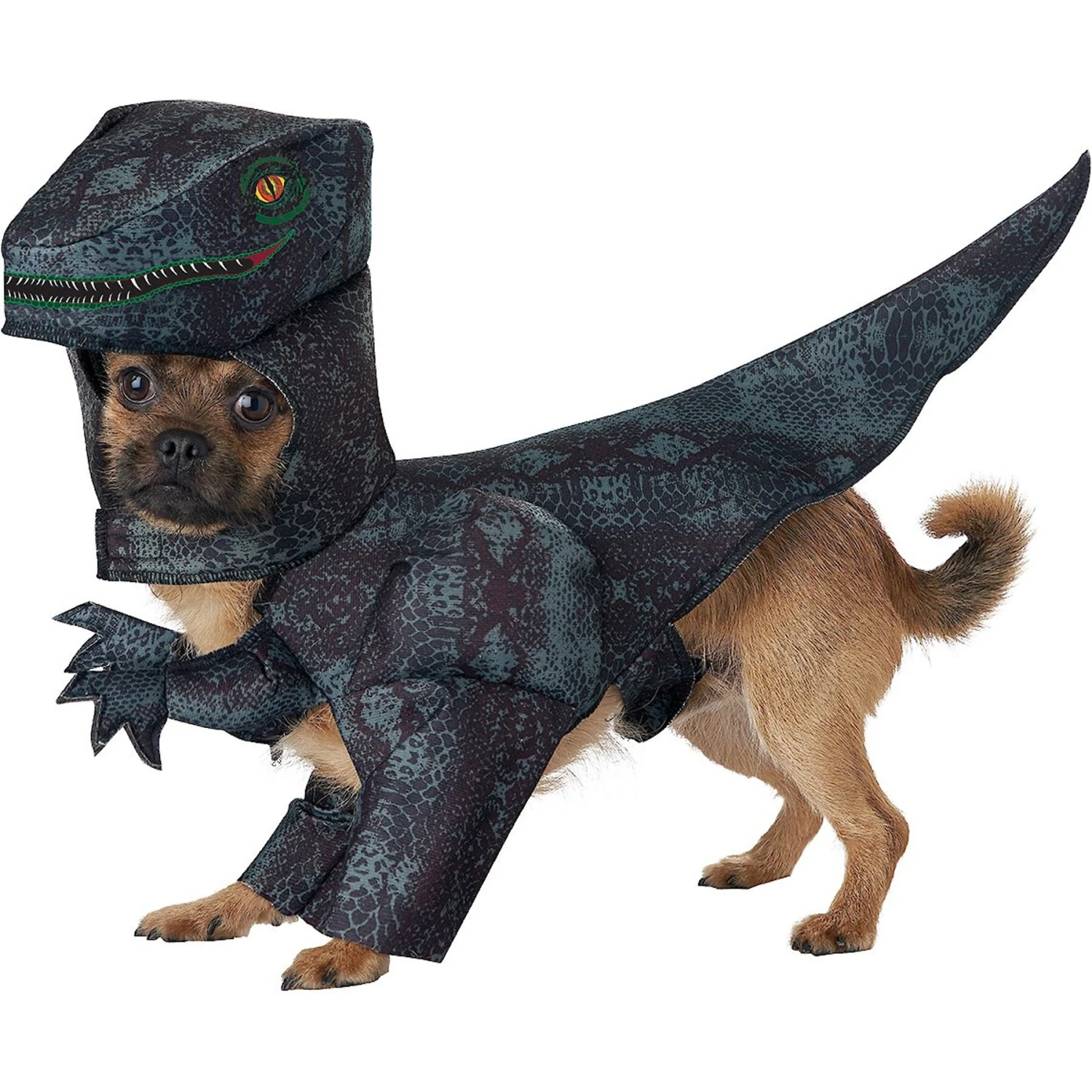California Costumes Pupasaurus Rex Dog & Cat Costume 1 California Costumes Pupasaurus Rex Dog & Cat Costume