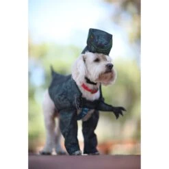 California Costumes Pupasaurus Rex Dog & Cat Costume 11 California Costumes Pupasaurus Rex Dog & Cat Costume -Pup Haven Sales Store 143317 PT3. AC SS1800 V1567184028