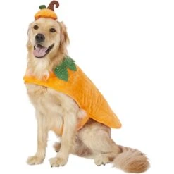 Frisco Pumpkin Dog & Cat Costume 11 Frisco Pumpkin Dog & Cat Costume -Pup Haven Sales Store 144446 PT2. AC SS1800 V1567174700