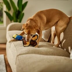 Frisco Duck Flat Plush Squeaky Dog Toy 6 Frisco Duck Flat Plush Squeaky Dog Toy -Pup Haven Sales Store 147069 PT3. AC SS1800 V1674158058