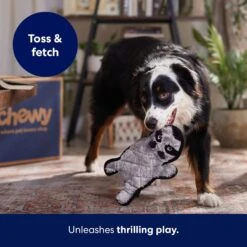 Frisco Raccoon Stuffing-Free Flat Plush Squeaky Dog Toy 10 Frisco Raccoon Stuffing-Free Flat Plush Squeaky Dog Toy -Pup Haven Sales Store 147071 PT5. AC SS1800 V1692989431