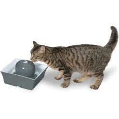 PetSafe Drinkwell Seascape Ceramic Dog & Cat Fountain 13 PetSafe Drinkwell Seascape Ceramic Dog & Cat Fountain -Pup Haven Sales Store 147502 PT6. AC SS1800 V1608080245