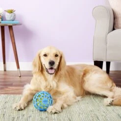 Nerf Dog EXO Treat Dispensing Ball Dog Toy 14 Nerf Dog EXO Treat Dispensing Ball Dog Toy -Pup Haven Sales Store 148523 PT6. AC SS1800 V1531937566