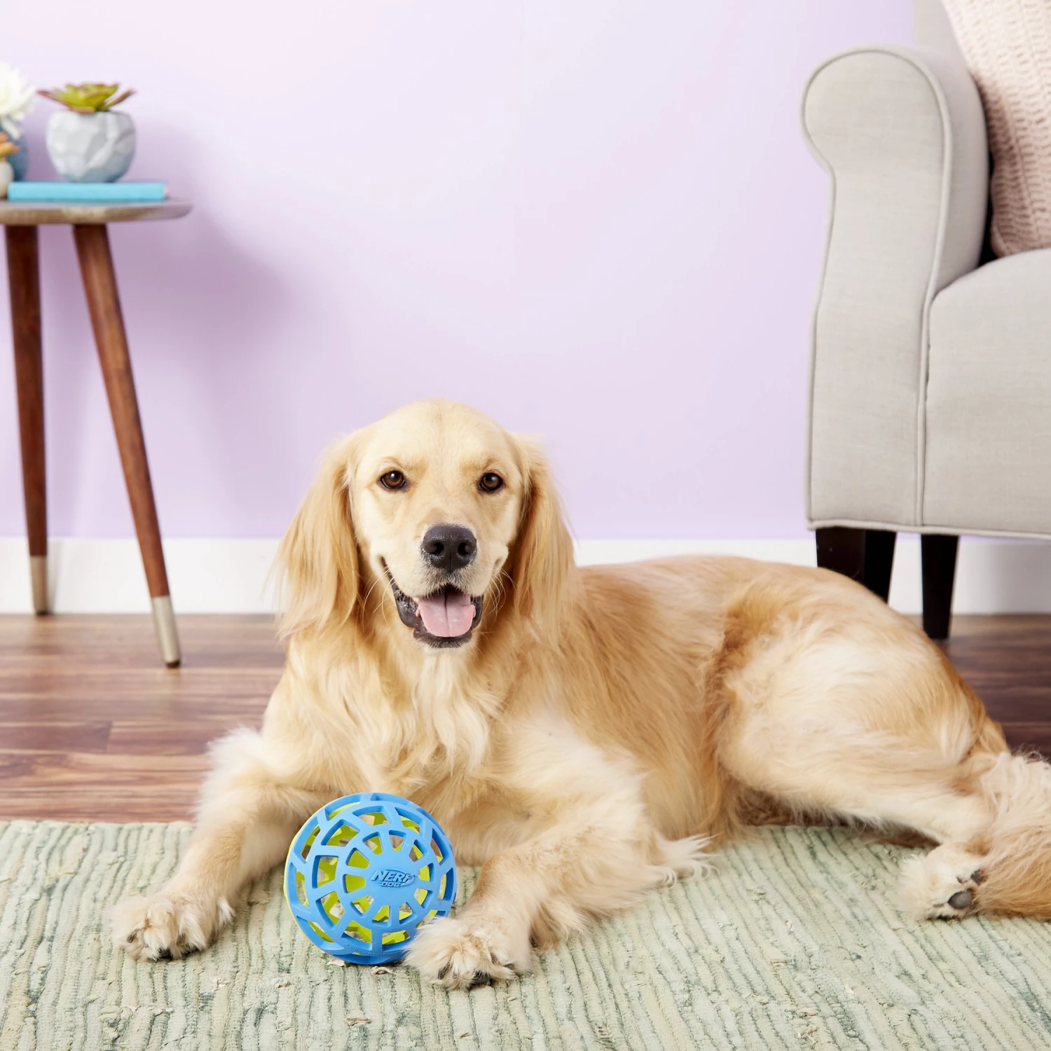 Nerf Dog EXO Treat Dispensing Ball Dog Toy 7 Nerf Dog EXO Treat Dispensing Ball Dog Toy - Image 7