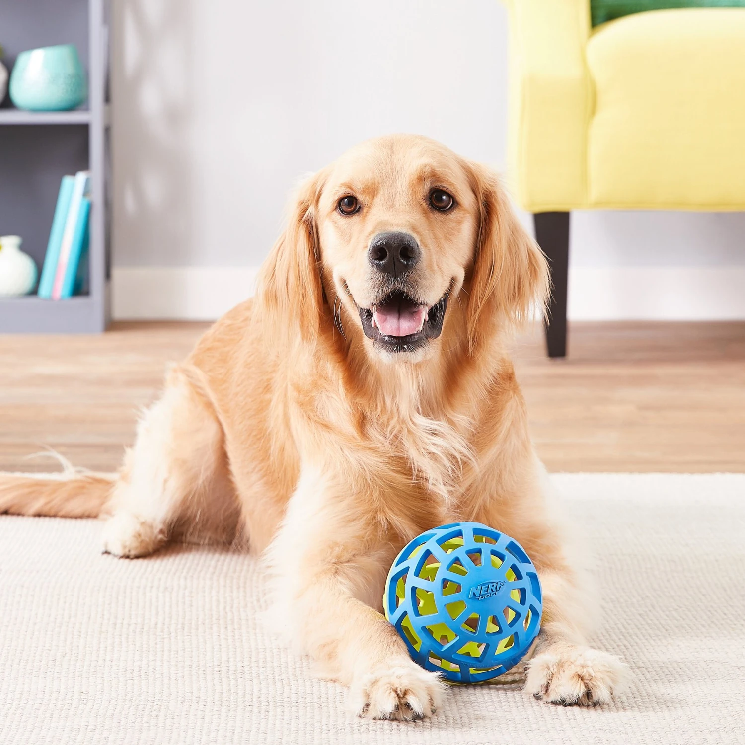 Nerf Dog EXO Treat Dispensing Ball Dog Toy 8 Nerf Dog EXO Treat Dispensing Ball Dog Toy - Image 8