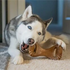 Benebone Peanut Butter Flavor Dental Tough Dog Chew Toy -Pup Haven Sales Store 151533 PT4. AC SS1800 V1612412216