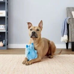 Multipet Hedgehog Squeaky Plush Dog Toy, Color Varies -Pup Haven Sales Store 151614 PT2. AC SS1800 V1545257301