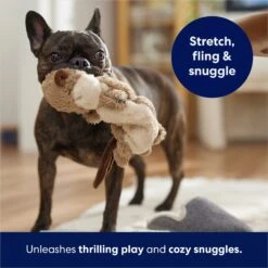 Frisco Beaver Bungee Plush Squeaky Dog Toy 10 Frisco Beaver Bungee Plush Squeaky Dog Toy -Pup Haven Sales Store 152824 PT5. AC SS1800 V1686580146