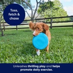 Frisco Fetch Rubber Flyer Dog Toy 6 Frisco Fetch Rubber Flyer Dog Toy -Pup Haven Sales Store 152848 PT5. AC SS1800 V1692370079