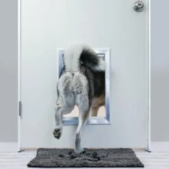 BarksBar Plastic Dog Door -Pup Haven Sales Store 154357 PT2. AC SS1800 V1628667681