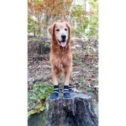 Bark Brite All Weather Reflective Neoprene Dog Boots, 4 Count 14 Bark Brite All Weather Reflective Neoprene Dog Boots, 4 Count -Pup Haven Sales Store 155000 PT5. AC SS1800 V1613689593