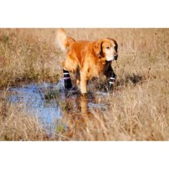 Bark Brite All Weather Reflective Neoprene Dog Boots, 4 Count 15 Bark Brite All Weather Reflective Neoprene Dog Boots, 4 Count -Pup Haven Sales Store 155000 PT6. AC SS1800 V1613695582