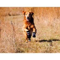 Bark Brite All Weather Reflective Neoprene Dog Boots, 4 Count 16 Bark Brite All Weather Reflective Neoprene Dog Boots, 4 Count -Pup Haven Sales Store 155000 PT7. AC SS1800 V1613687208