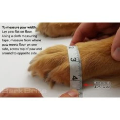 Bark Brite All Weather Reflective Neoprene Dog Boots, 4 Count 17 Bark Brite All Weather Reflective Neoprene Dog Boots, 4 Count -Pup Haven Sales Store 155000 PT8. AC SS1800 V1619723819