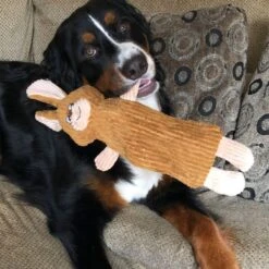 Snuggle Puppy Tender-Tuffs Whisper Rabbit Tough Dog Bottle Fill Toy -Pup Haven Sales Store 155729 PT4. AC SS1800 V1667519362