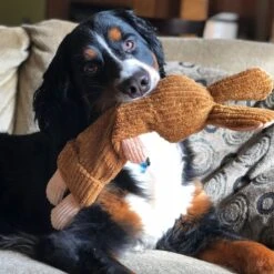 Snuggle Puppy Tender-Tuffs Whisper Rabbit Tough Dog Bottle Fill Toy -Pup Haven Sales Store 155729 PT6. AC SS1800 V1667517548