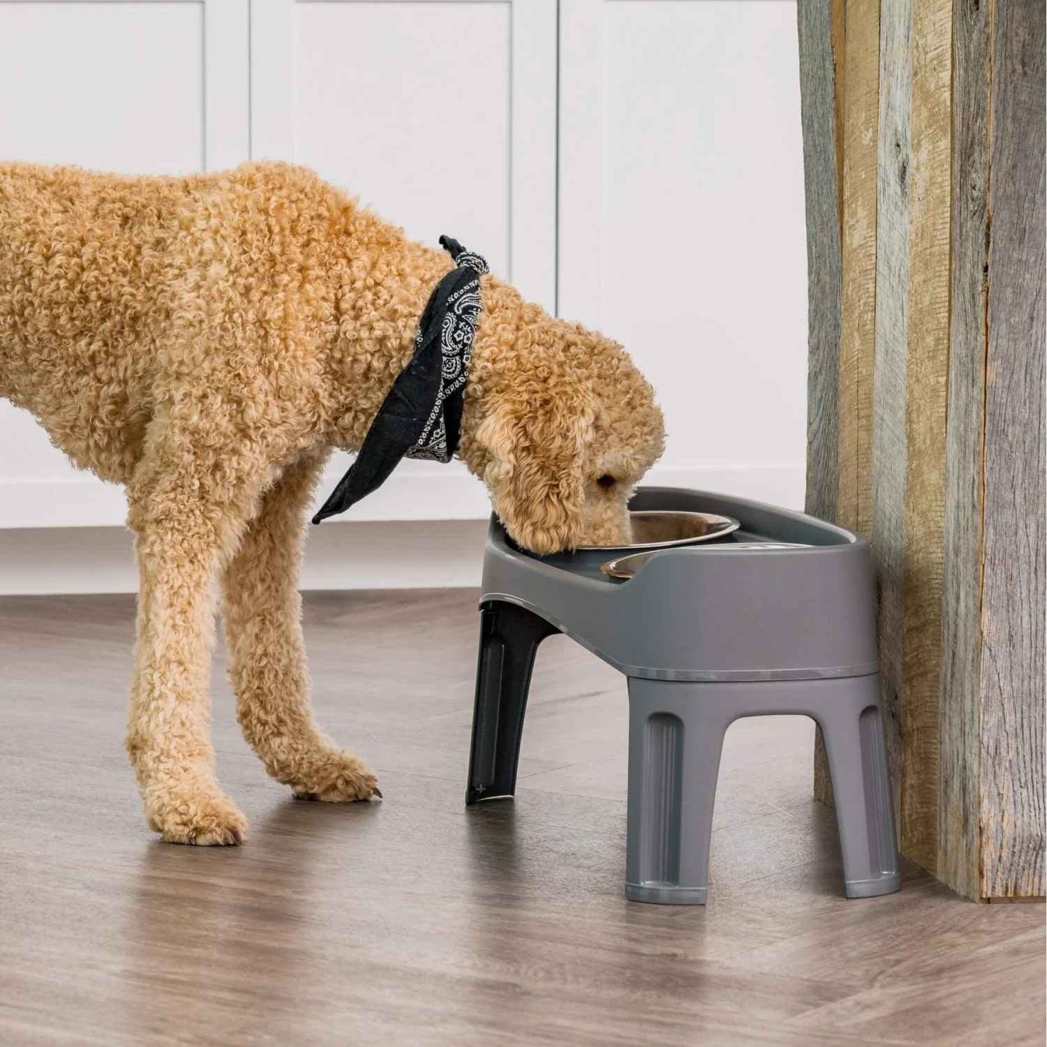 IRIS USA Elevated Dog Feeder With Attachable Feet 3 IRIS USA Elevated Dog Feeder With Attachable Feet - Image 3