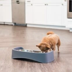 IRIS USA Elevated Dog Feeder With Attachable Feet 10 IRIS USA Elevated Dog Feeder With Attachable Feet -Pup Haven Sales Store 156889 PT3. AC SS1800 V1598650940
