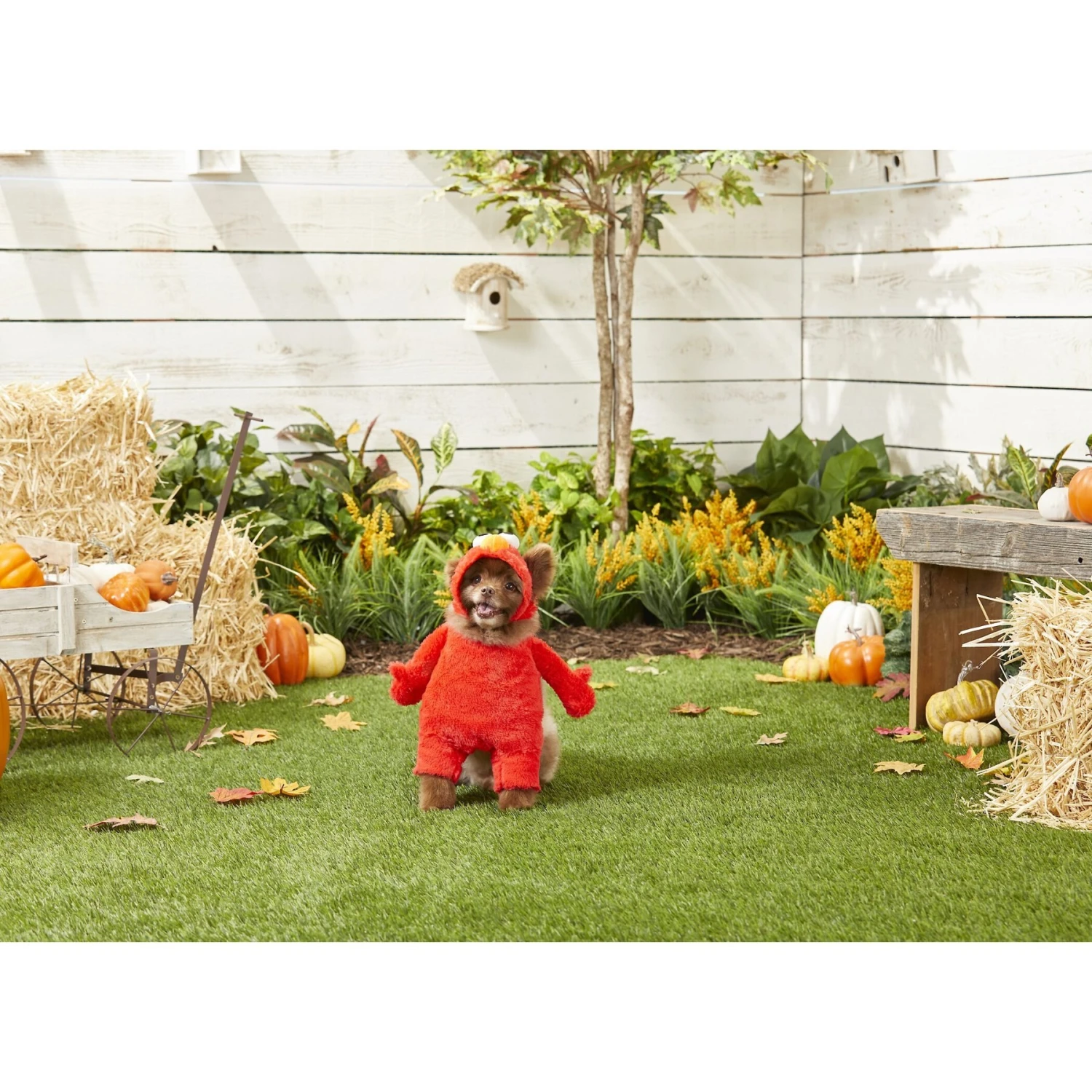 Pet Krewe Sesame Street Elmo Dog & Cat Costume 3 Pet Krewe Sesame Street Elmo Dog & Cat Costume - Image 3