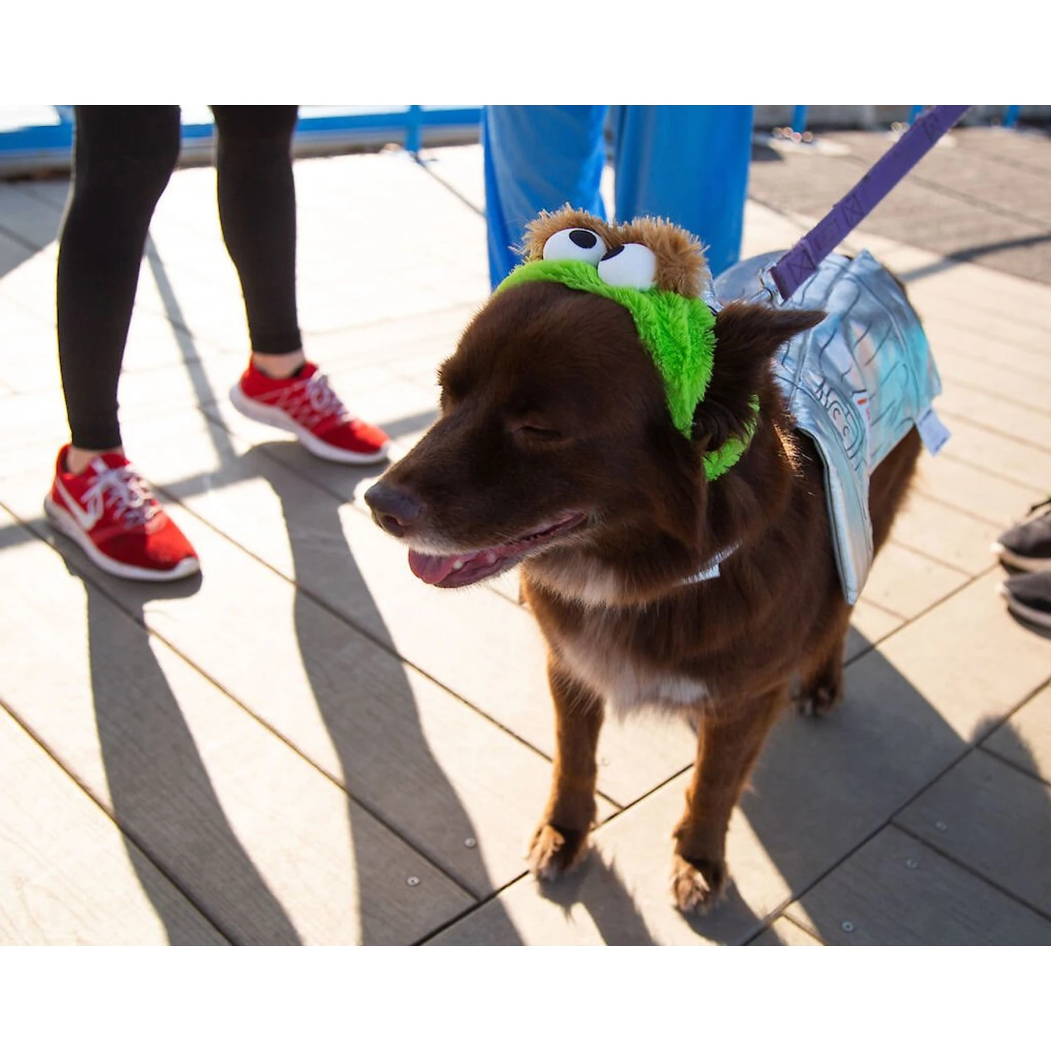 Pet Krewe Sesame Street Oscar The Grouch Dog & Cat Costume 3 Pet Krewe Sesame Street Oscar The Grouch Dog & Cat Costume - Image 3