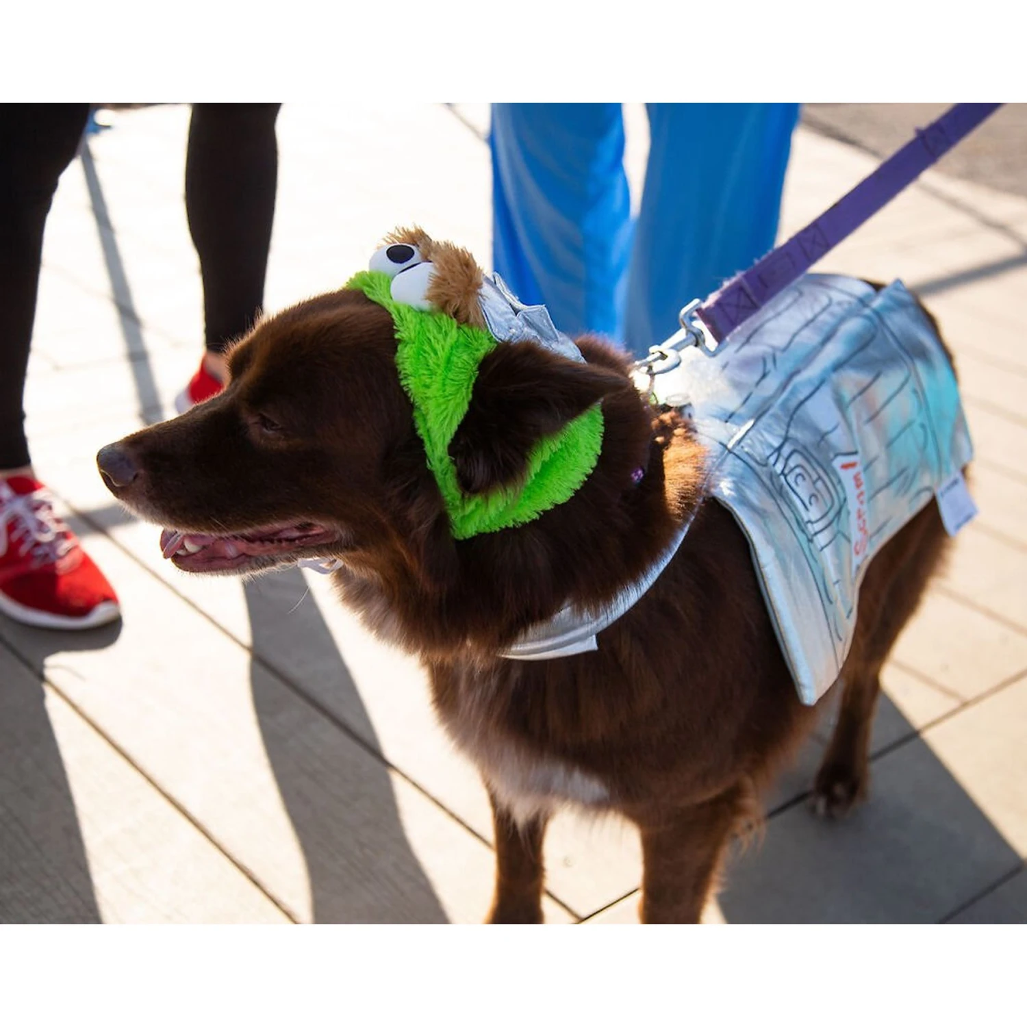Pet Krewe Sesame Street Oscar The Grouch Dog & Cat Costume 7 Pet Krewe Sesame Street Oscar The Grouch Dog & Cat Costume - Image 7