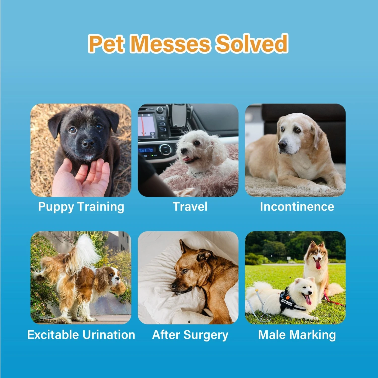 Honey Care All-Absorb Disposable Male Dog Wraps 3 Honey Care All-Absorb Disposable Male Dog Wraps - Image 3