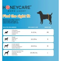 Honey Care All-Absorb Disposable Male Dog Wraps 12 Honey Care All-Absorb Disposable Male Dog Wraps -Pup Haven Sales Store 159971 PT5. AC SS1800 V1696519276