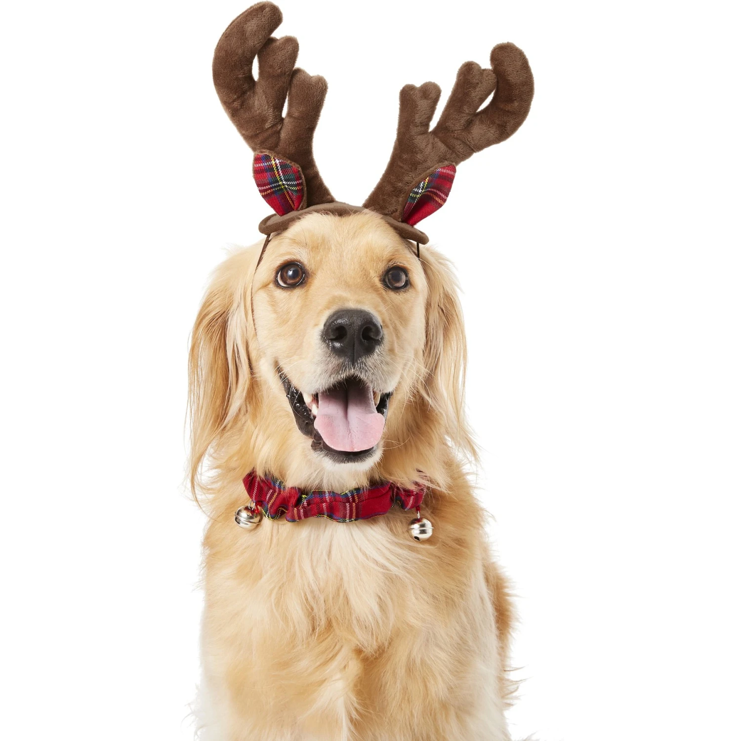 Frisco Holiday Antler Headband & Bell Collar Dog & Cat Costume 1 Frisco Holiday Antler Headband & Bell Collar Dog & Cat Costume
