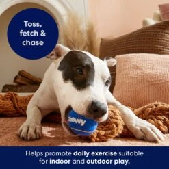Frisco Chewy Fetch Squeaky Tennis Ball Dog Toy -Pup Haven Sales Store 164314 PT5. AC SS1800 V1691783910