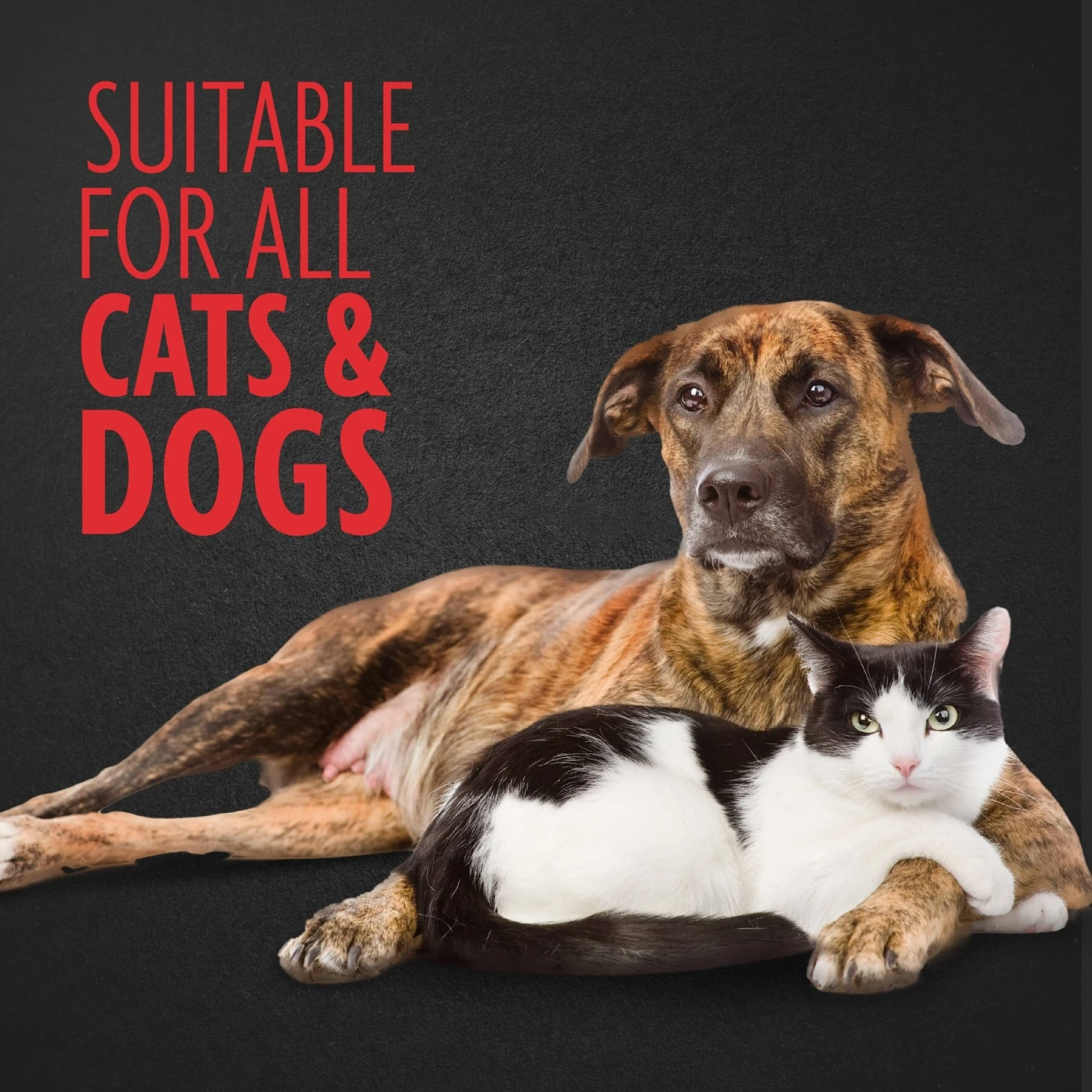 FURminator Personal Hair Sweeper 4 FURminator Personal Hair Sweeper - Image 4