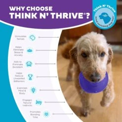 Planet Dog Orbee-Tuff Lil Snoop Treat Dispensing Tough Dog Chew Toy 12 Planet Dog Orbee-Tuff Lil Snoop Treat Dispensing Tough Dog Chew Toy -Pup Haven Sales Store 169717 PT5. AC SS1800 V1687966995