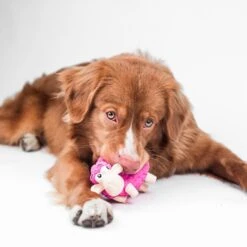 Outward Hound Tootiez Squeaky Stuffing-Free Dog Toy 14 Outward Hound Tootiez Squeaky Stuffing-Free Dog Toy -Pup Haven Sales Store 173725 PT6. AC SS1800 V1636507132